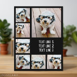 Creëer een Aangepaste fotocollage met 7 foto's - T Briefkaart<br><div class="desc">Een eenvoudige fotocollage met een gebied om het even welke tekst toe te voegen. Gebruik je favoriete foto of afbeeldingen om een leuk hoopje te maken om met vrienden te delen. Voor beste resultaten, bewaar uw foto's in vierkanten alvorens te uploaden. U kunt de achtergrondkleur en de doopvont op het...</div>