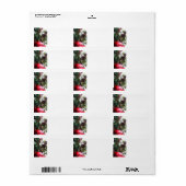 Creëer-feestkaartenvelop met label sticker (Full Sheet)