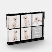 Creëer Instagram Foto serie Dog Cat Foto's (Links)