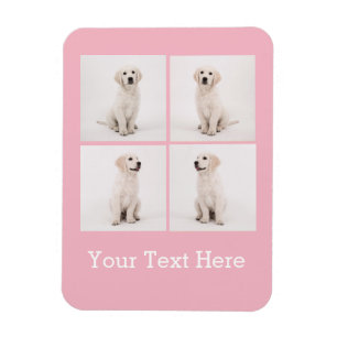 Creëer Instagram-serie Fotofoto's van Dog Cat Magneet