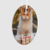 Creëer je eigen Cat Foto Ornament (voorkant)