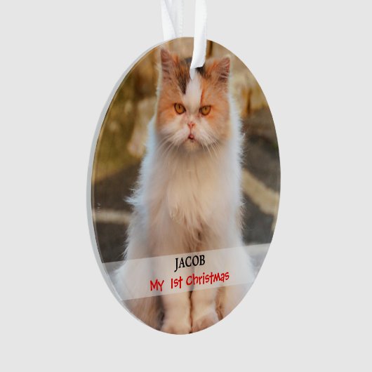 Creëer je eigen Cat Foto Ornament (voorkant)