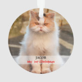 Creëer je eigen Cat Foto Ornament (achterkant)