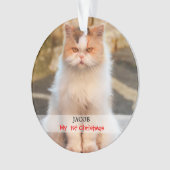 Creëer je eigen Cat Foto Ornament (voorkant)