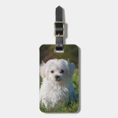 Creëer Je eigen foto toevoegen Aangepast Bagagelabel (Voorkant verticaal)