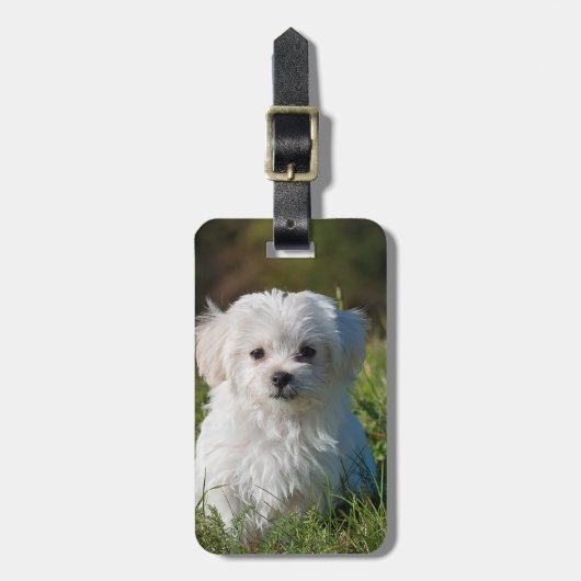 Creëer Je eigen foto toevoegen Aangepast Bagagelabel (Voorkant verticaal)