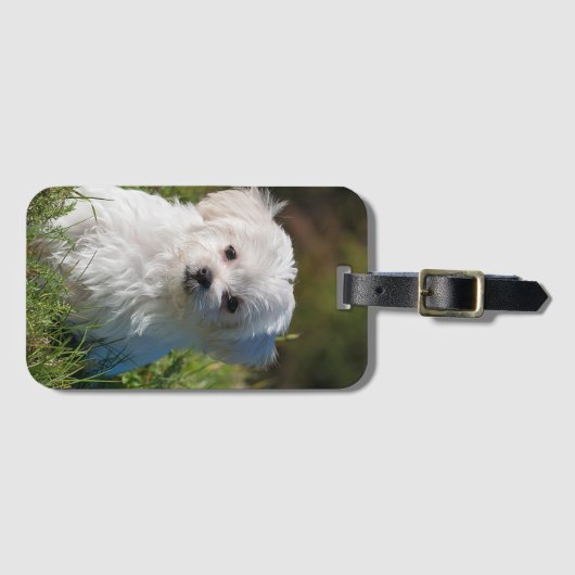 Creëer Je eigen foto toevoegen Aangepast Bagagelabel (Voorkant (horizontaal))