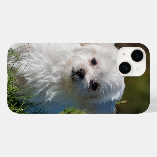 Creëer Je eigen foto toevoegen Aangepast Case-Mate iPhone Case (Achterkant (horizontaal))