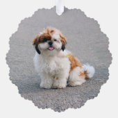 Creëer Je eigen foto van een huishond Ornament Kaart (Achterkant)