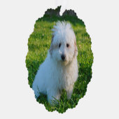 Creëer Je eigen foto van een huishond Ornament Kaart (Rechts)