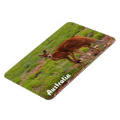 Creëer je eigen fotomagneet magneet (Linkerzijde)