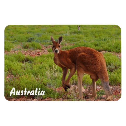 Creëer je eigen fotomagneet magneet (Horizontaal)