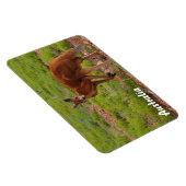 Creëer je eigen fotomagneet magneet (Rechterzijde)