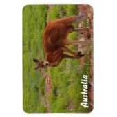 Creëer je eigen fotomagneet magneet (Verticaal)