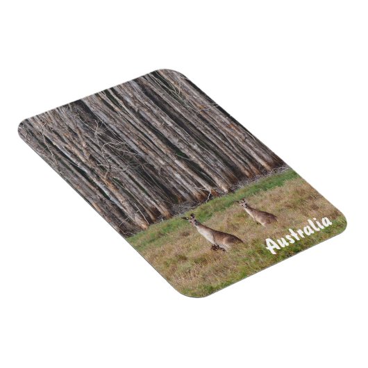 Creëer je eigen fotomagneet magneet (Rechterzijde)