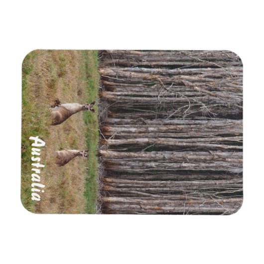 Creëer je eigen fotomagneet magneet (Horizontaal)