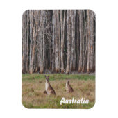 Creëer je eigen fotomagneet magneet (Verticaal)