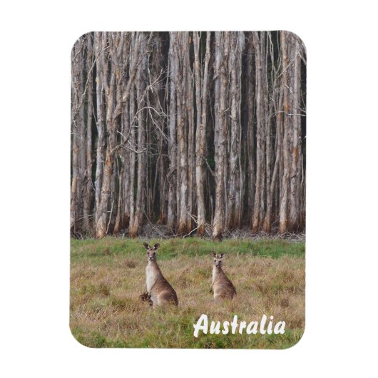 Creëer je eigen fotomagneet magneet (Verticaal)