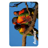 Creëer je eigen fotomagneet magneet (Verticaal)