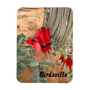 Creëer je eigen fotomagneet magneet