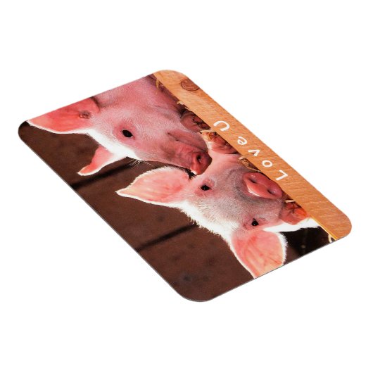 Creëer je eigen grappige fotoliefje magneet (Rechterzijde)