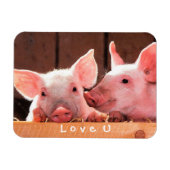 Creëer je eigen grappige fotoliefje magneet (Horizontaal)