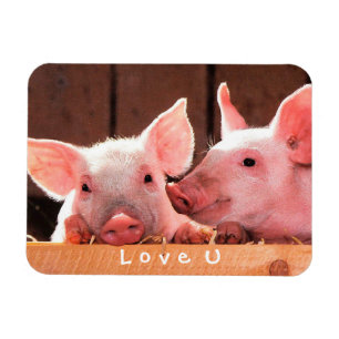 Creëer je eigen grappige fotoliefje magneet