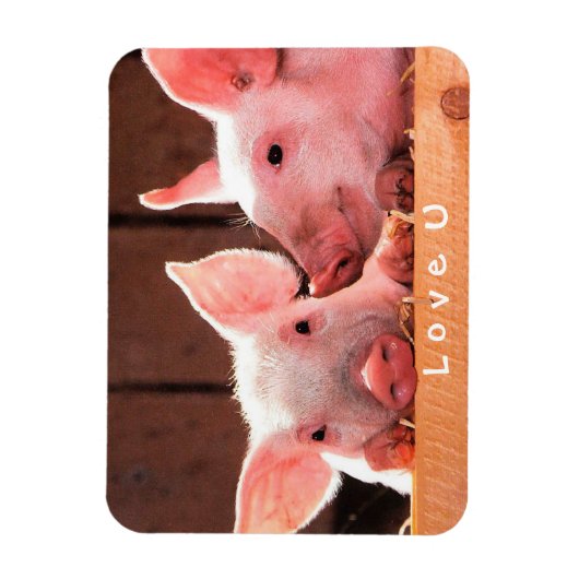 Creëer je eigen grappige fotoliefje magneet (Verticaal)