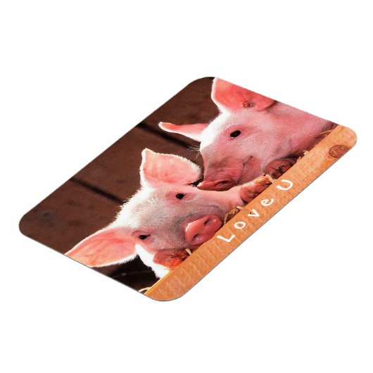 Creëer je eigen grappige fotoliefje magneet (Linkerzijde)