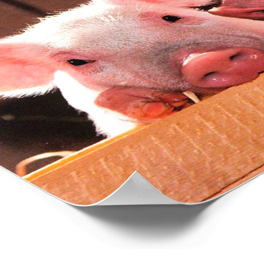 Creëer je eigen grappige fotoliefje poster (Hoek)