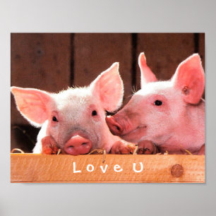 Creëer je eigen grappige fotoliefje poster