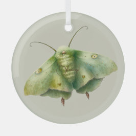 Creëer Je eigen groene fantasy mot Glas Ornament