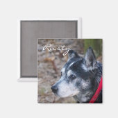 Creëer je eigen huisdiermagneet magneet (Voorkant / Achterkant)