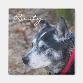 Creëer je eigen huisdiermagneet magneet (Voorkant)