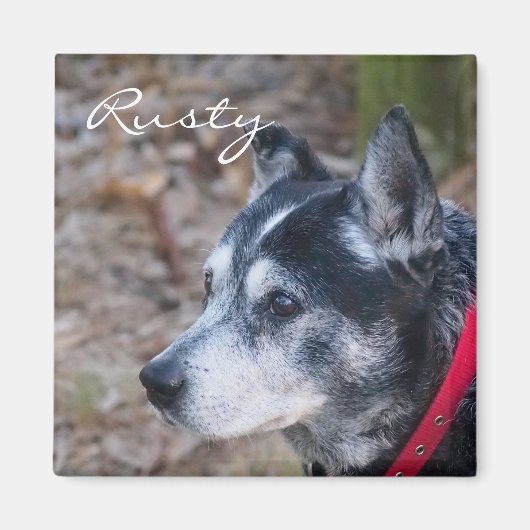 Creëer je eigen huisdiermagneet magneet (Voorkant)