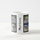 Creëer je eigen kattenfotocollage monogram koffiemok (Center)