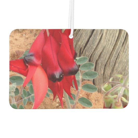 Creëer je eigen luchtverfrisser (Achterkant)