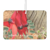 Creëer je eigen luchtverfrisser (Voorkant)