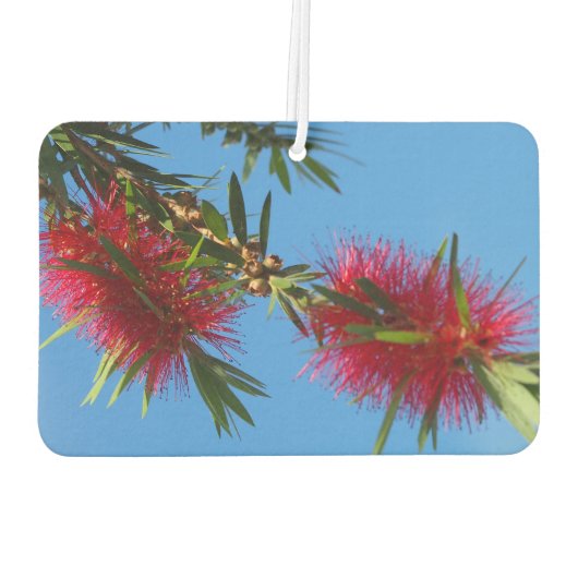 Creëer je eigen luchtverfrisser (Achterkant)