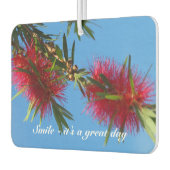 Creëer je eigen luchtverfrisser (Links)