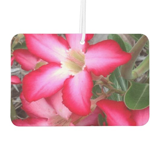 Creëer je eigen luchtverfrisser (Achterkant)