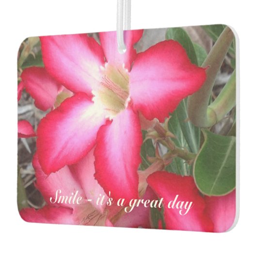 Creëer je eigen luchtverfrisser (Links)