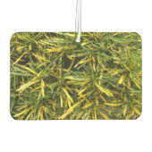 Creëer je eigen luchtverfrisser (Achterkant)