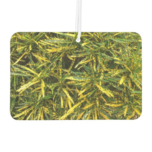 Creëer je eigen luchtverfrisser (Achterkant)