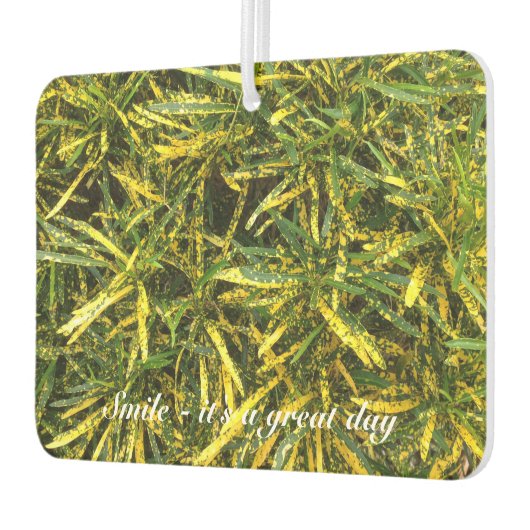 Creëer je eigen luchtverfrisser (Links)