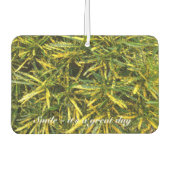 Creëer je eigen luchtverfrisser (Voorkant)