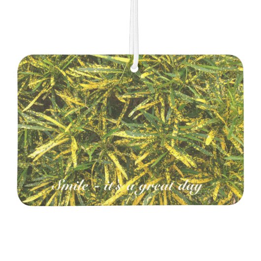 Creëer je eigen luchtverfrisser (Voorkant)