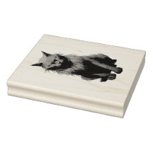 Creëer Je eigen magische zwarte kat