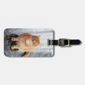 Creëer je eigen petfoto bagagelabel (Voorkant horizontaal)