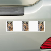 Creëer je eigen petfoto bumpersticker (Op auto)